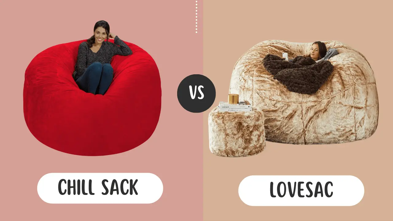 Chill Sack vs Lovesac
