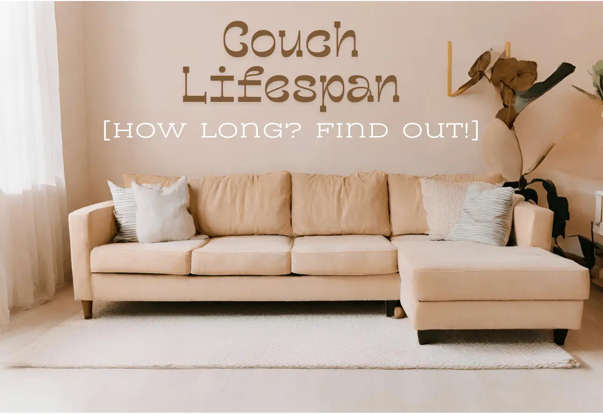 Couch Lifespan [How Long? Find Out!]